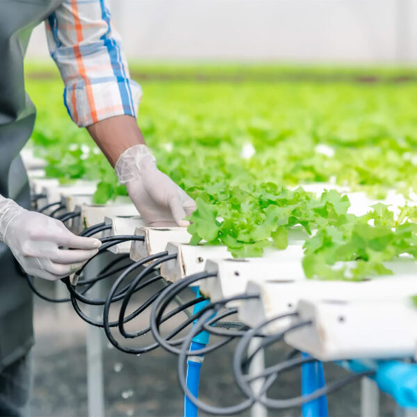 Essentials of Electrification for Field Farming