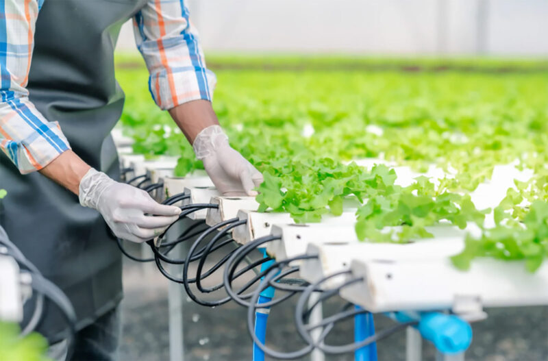 Essentials of Electrification for Field Farming