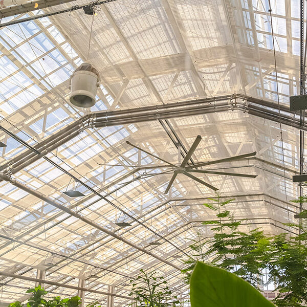 Greenhouse Energy Audits: Steps to Improve Profitability