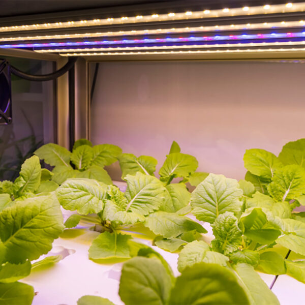 Indoor Agriculture Resiliency