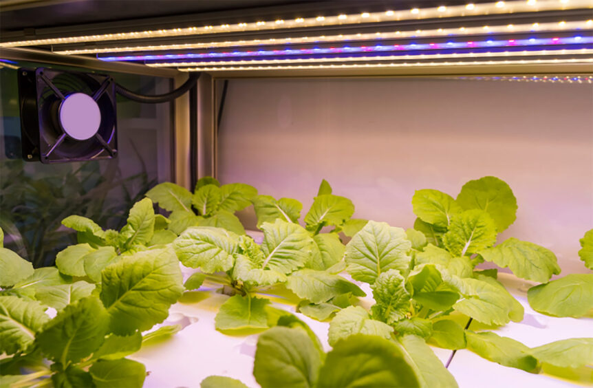 Indoor Agriculture Resiliency