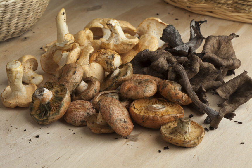Mushroom agriculture smart controls
