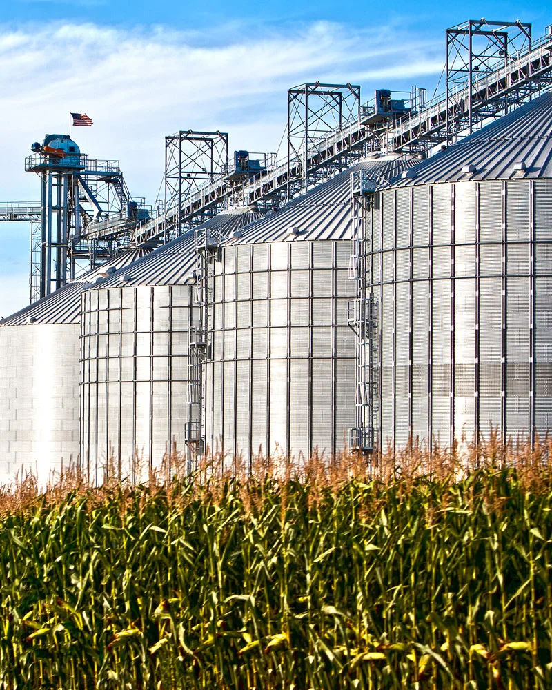 CEA Controlled Environment Agriculture