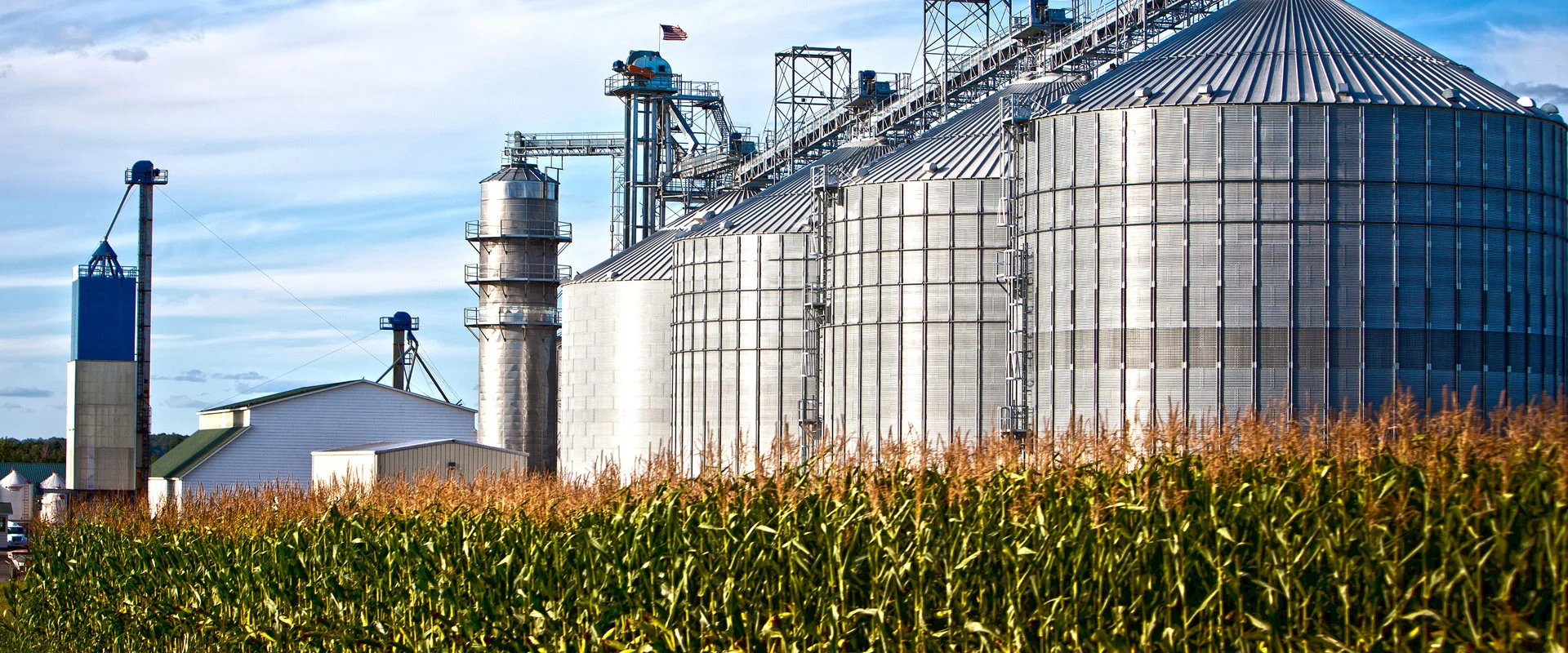 CEA Controlled Environment Agriculture
